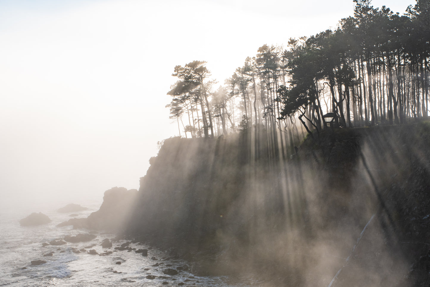 #396 Coastal Fog