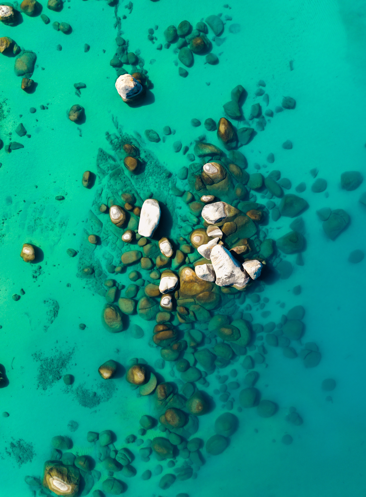 #269 Whale Rock Top Down