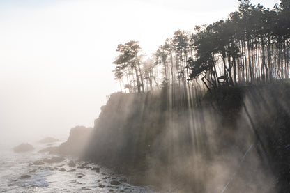 #396 Coastal Fog