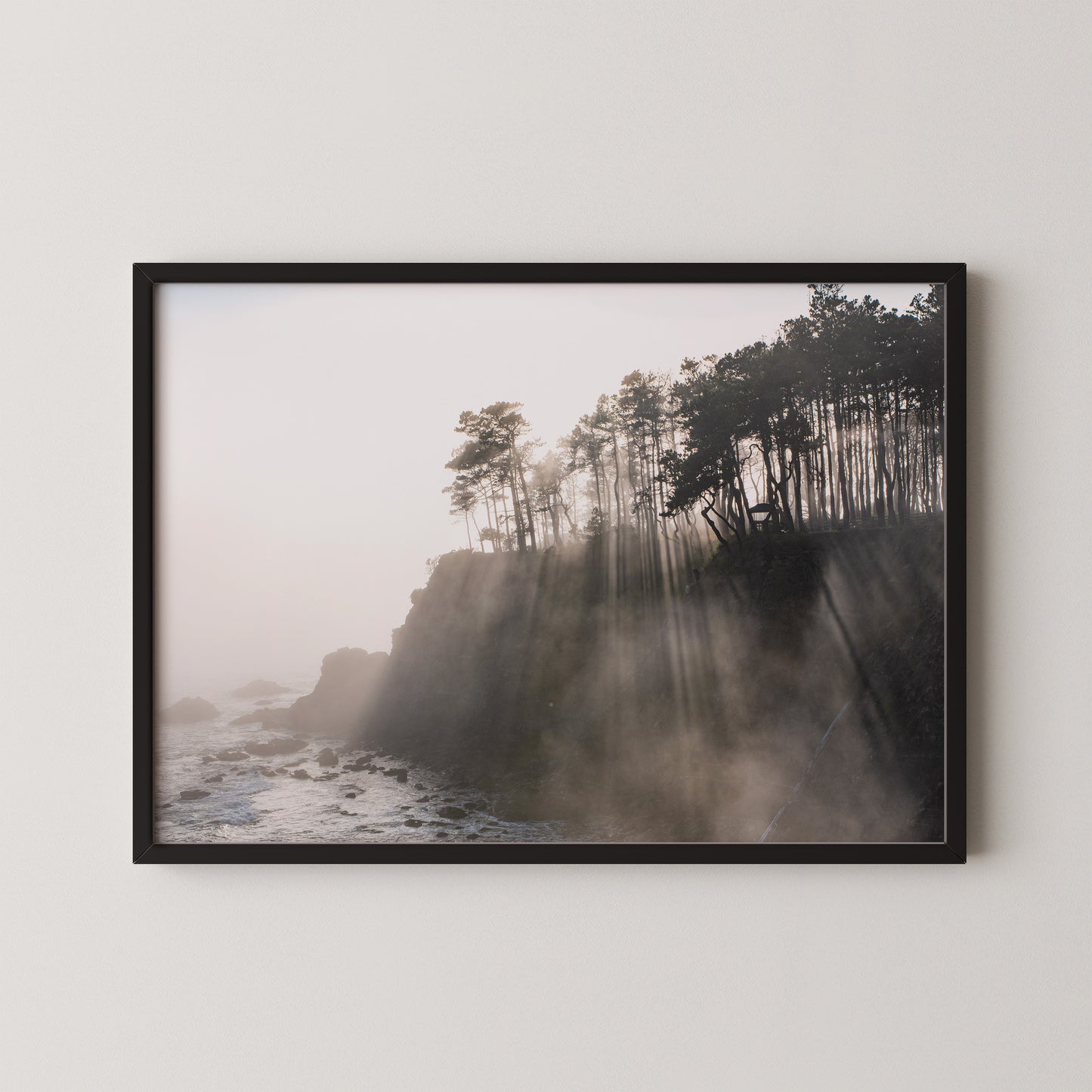 #396 Coastal Fog