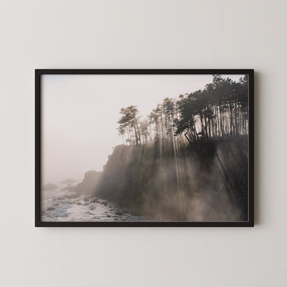 #396 Coastal Fog