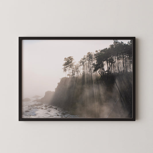 #396 Coastal Fog