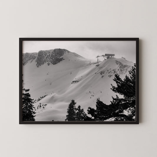 #25 Kangaroo Kicker (Palisades Tahoe)