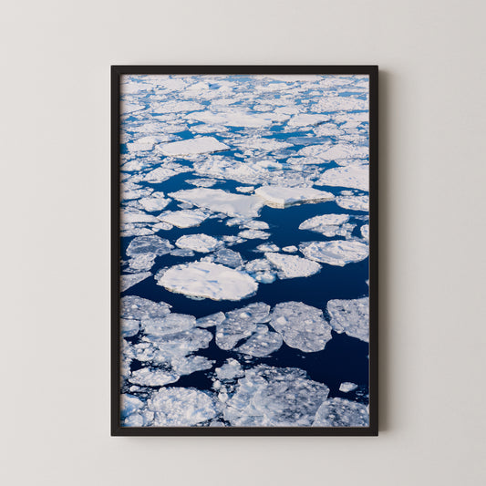 #602 Pack Ice