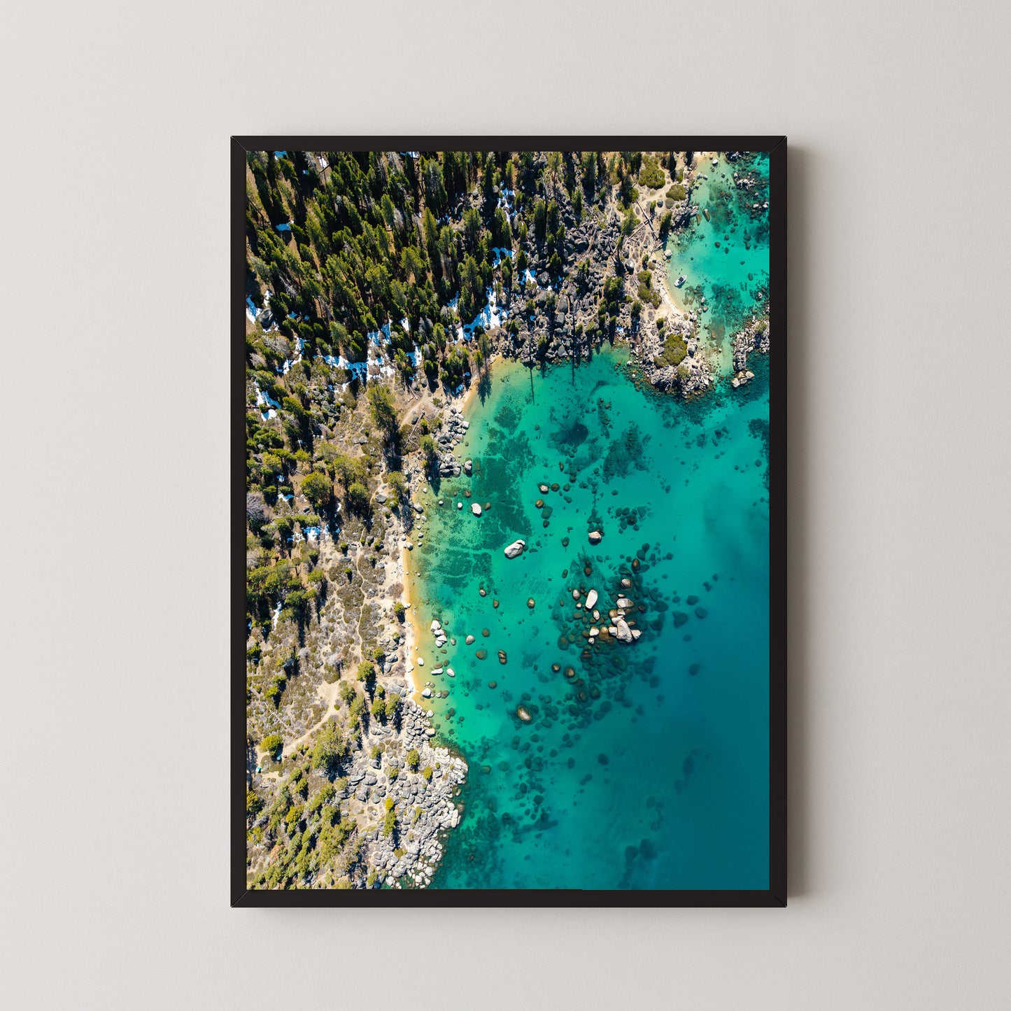 #274 Whale Beach Top Down