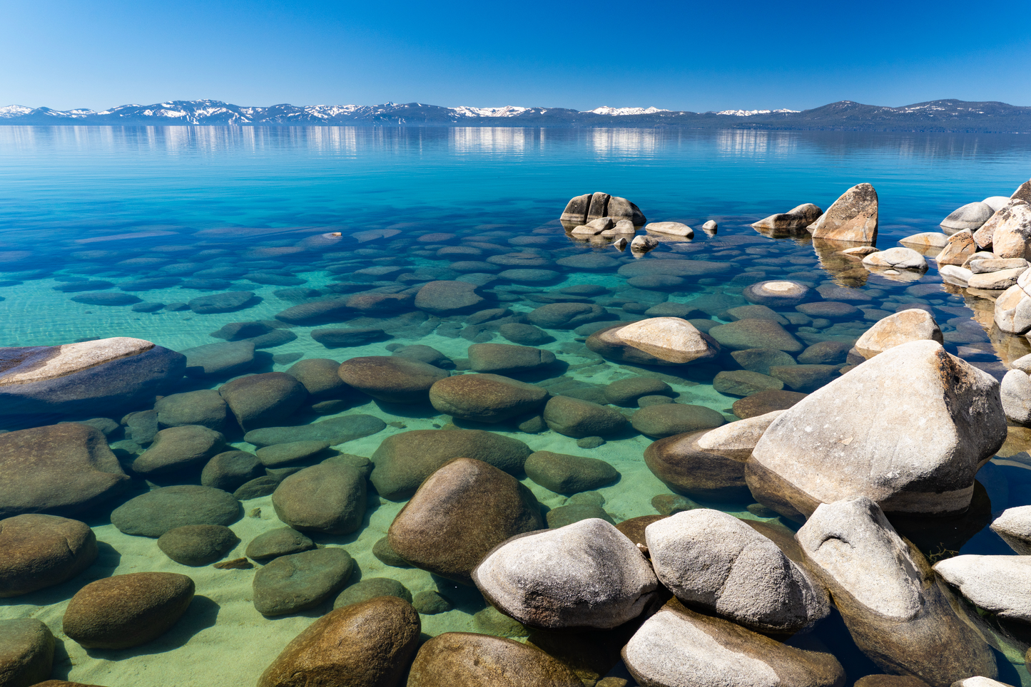 #267 Calming Spring