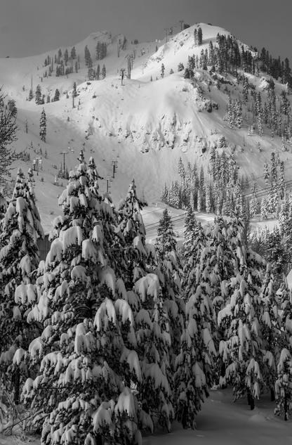 #23 Kt-22 Untouched (Palisades Tahoe)