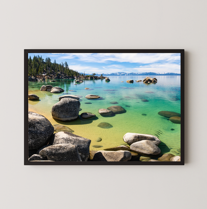 #277 Whale Beach Glass