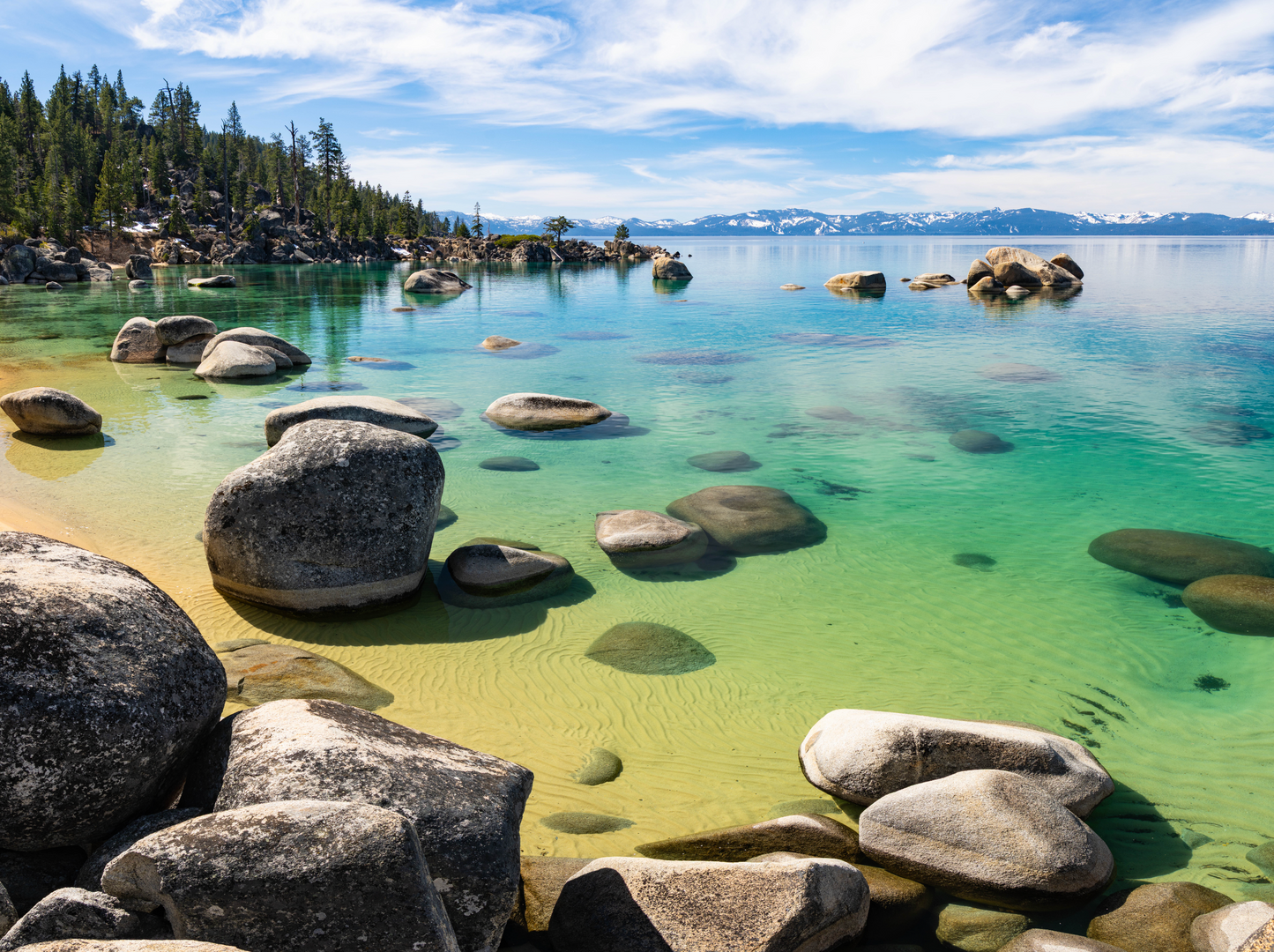 #277 Whale Beach Glass